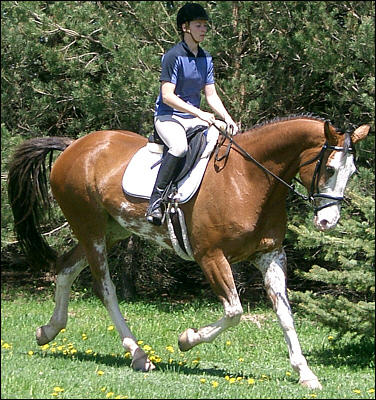 © Superior Horse