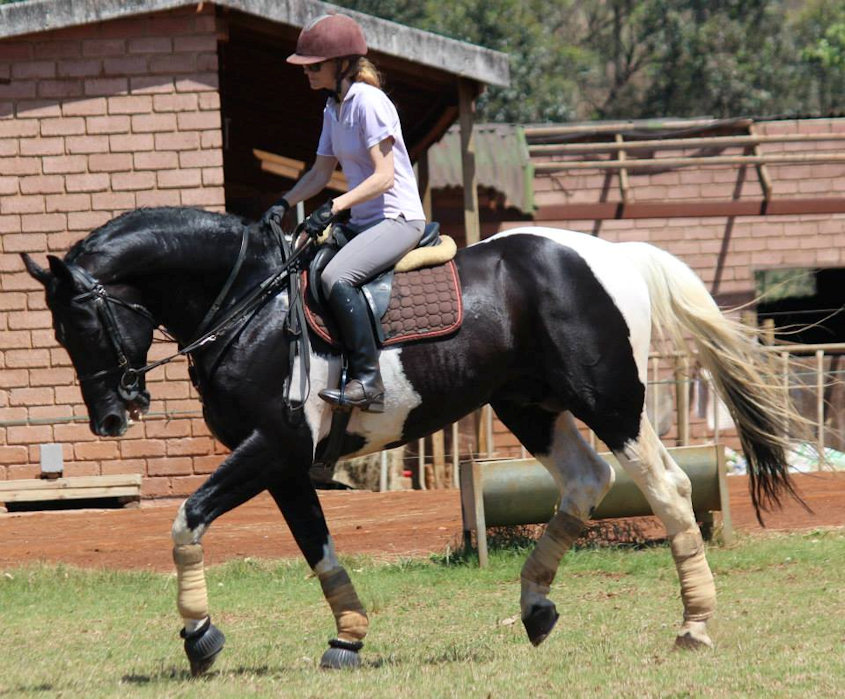 © Saratoga Stud