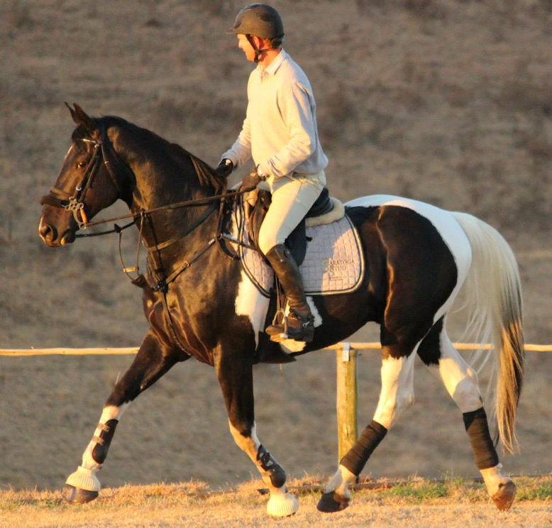 © Saratoga Stud