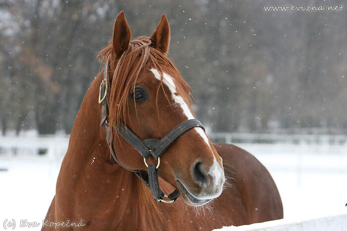 © Kuvassa