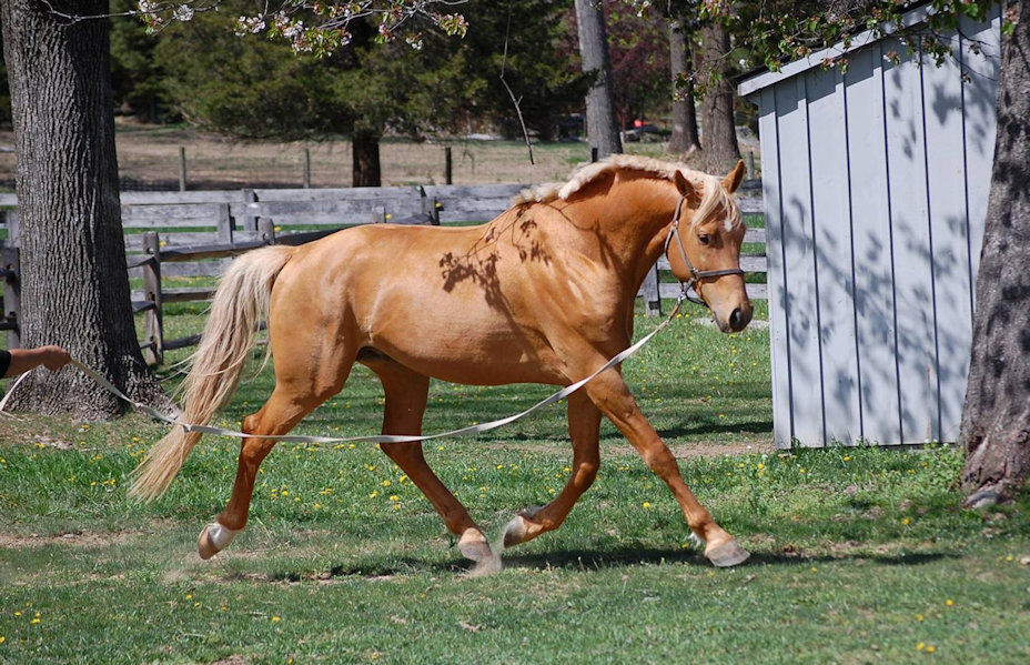 © Goldhope Farm