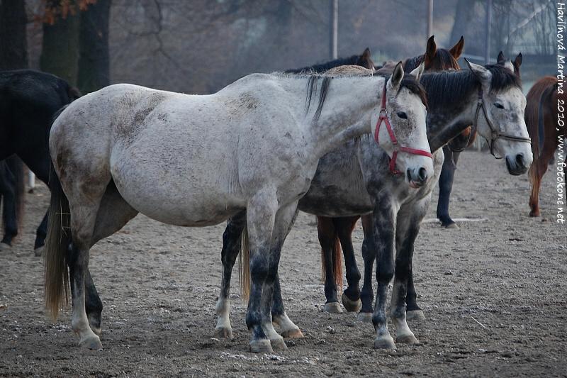 © Kuvassa