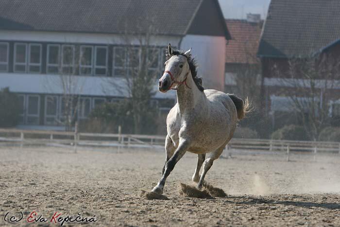 © Kuvassa