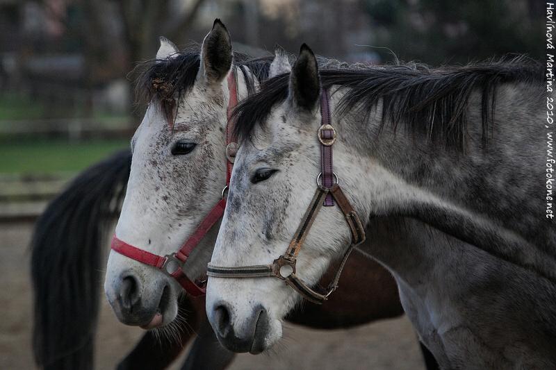 © Kuvassa