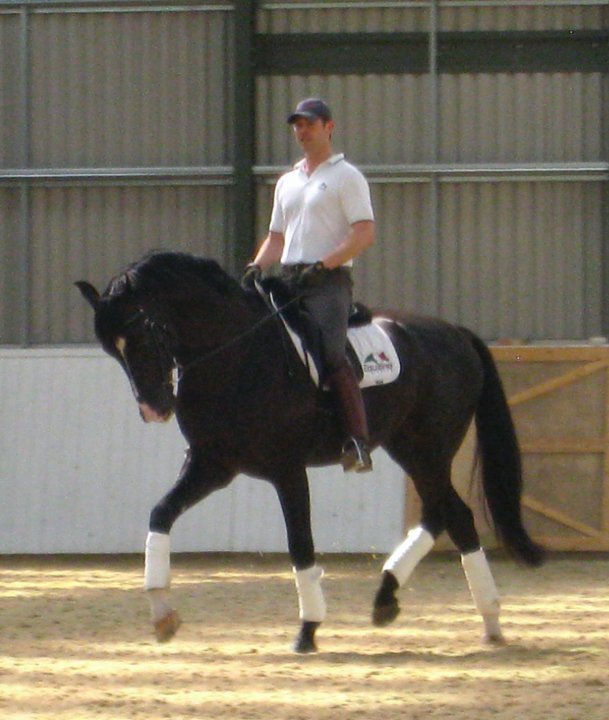 © Horses Exclusive