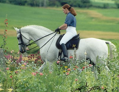 © River House Hanoverians