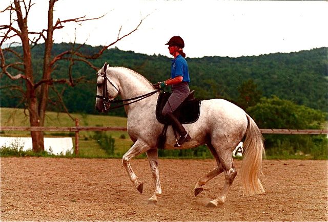 © River House Hanoverians
