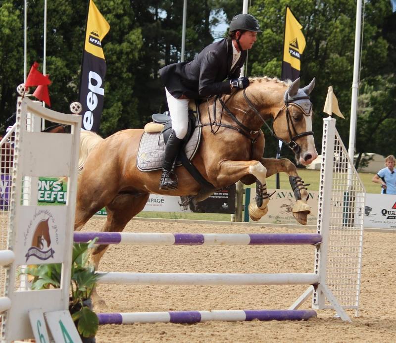 © Saratoga Stud