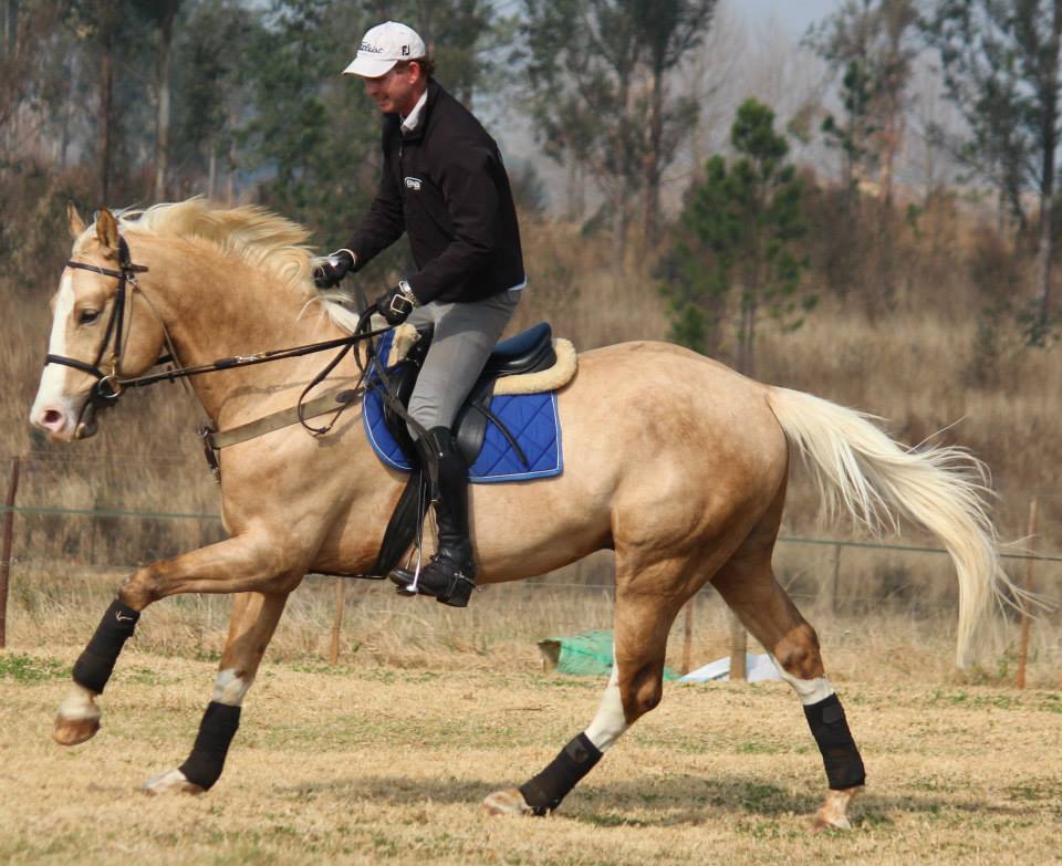 © Saratoga Stud