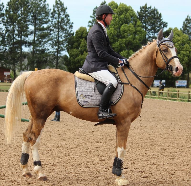 © Saratoga Stud