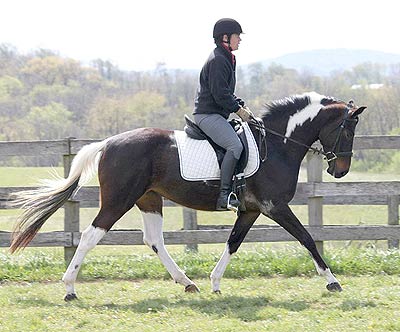 © Silverwood Farm, photo by Lizard Graphic