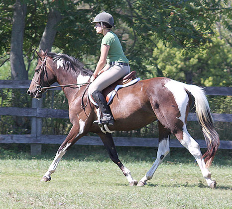© Silverwood Farm, photo by Lizard Graphic