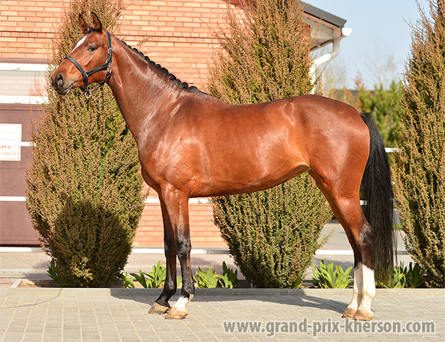 © Grand Prix Kherson