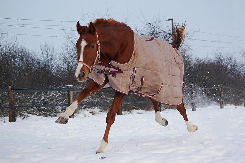 © Kuvassa