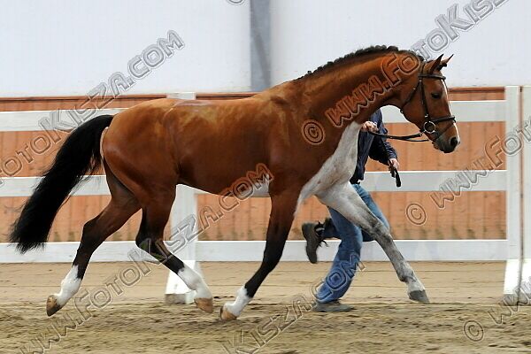 © FotoKisza