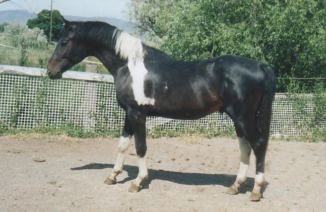 © Gallant Farms