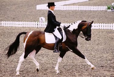 © Stanhope Stud