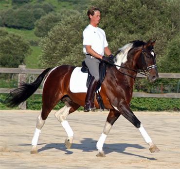 © Stanhope Stud