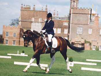 © Stanhope Stud