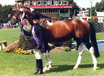 © Stanhope Stud