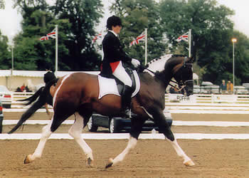 © Stanhope Stud